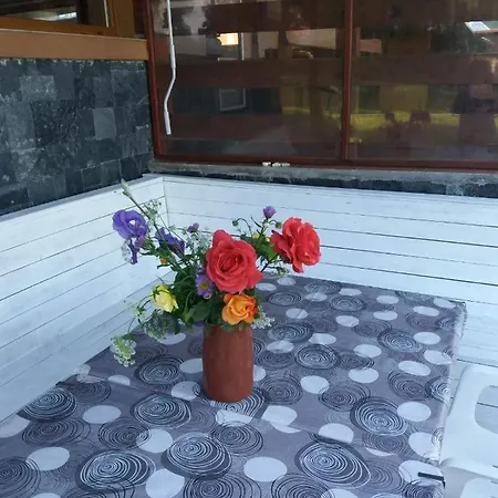 сладък живот * تسيغوف تشارك